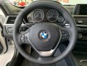 BMW 3 Series 320i 2018 - Bán ô tô BMW 3 Series 320i đời 2018, màu trắng, mới 100%