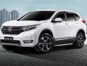 Honda CR V 2019 - Bán ô tô Honda CR V đời 2019, xe nhập