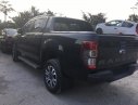 Ford Ranger Wildtrak 2.0 2019 - Sẵn xe Ford Ranger Wildtrak 2.0 màu đen giao xe Quảng Bình cho khách hàng, LH 094.697.4404