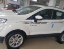 Ford EcoSport 2019 - Bán Ford EcoSport năm 2019, giá tốt nhất thị trường chỉ 663 triệu