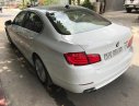 BMW 5 Series 523i 2010 - Chính chủ bán BMW 5 Series 523i 2010, màu trắng, nhập khẩu  