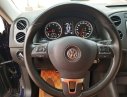 Volkswagen Tiguan  2.0 2016 - Bán xe Volkswagen Tiguan 2.0 đời 2016, màu xanh lam, nhập khẩu nguyên chiếc