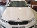 BMW 5 Series 530i Luxury Line 2018 - Bán BMW 5 Series 530i Luxury Line 2018, màu trắng, nhập khẩu, mới 100%