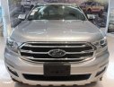 Ford Everest  2.0AT  2019 - Bán Ford Everest đời 2019, màu bạc, nhập khẩu