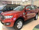 Ford Everest  Ambiena AT 2019 - Bán Ford Everest Ambiena AT đời 2019, màu đỏ, nhập khẩu nguyên chiếc - Xe có sẵn, giao ngay, tặng bảo hiểm thân vỏ