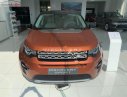 LandRover Discovery Sport HSE 2017 - Bán Discovery Sport HSE 2.0 model 2018 bản 5 chỗ