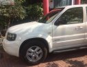 Ford Escape 2008 - Bán Ford Escape sản xuất 2008, màu trắng ít sử dụng