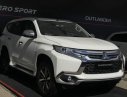 Mitsubishi Pajero   D4x2MT 2019 - Cần bán Mitsubishi Pajero 2019, màu trắng, nhập khẩu nguyên chiếc