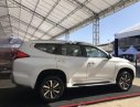 Mitsubishi Pajero   D4x2MT 2019 - Cần bán Mitsubishi Pajero 2019, màu trắng, nhập khẩu nguyên chiếc