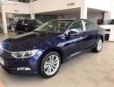 Volkswagen Passat 1.8 Bluemotion 2018 - Cần bán xe Volkswagen Passat 1.8 Bluemotion sản xuất 2018, màu xanh lam, nhập khẩu