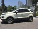 Ford EcoSport   Titanium 2014 - Cần bán xe Ford EcoSport Titanium đời 2014, màu trắng chính chủ, giá 495tr