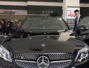 Mercedes-Benz C class C300 2019 - Bán ô tô Mercedes C300 đời 2019, màu đen