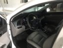 Hyundai Elantra  1.6AT 2017 - Bán Hyundai Elantra 1.6AT đời 2017, màu trắng, xe nhập, giá tốt