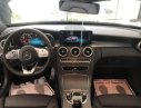 Mercedes-Benz C class C300 2019 - Bán ô tô Mercedes C300 đời 2019, màu đen