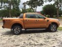 Ford Ranger  Wildtrak 2018 - Bán ô tô Ford Ranger Wildtrak đời 2018, nhập khẩu