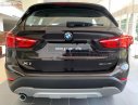 BMW X1 2019 - Bán ô tô BMW X1 năm sản xuất 2019, màu nâu, nhập khẩu nguyên chiếc