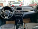 BMW X1 2019 - Bán ô tô BMW X1 năm sản xuất 2019, màu nâu, nhập khẩu nguyên chiếc