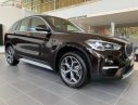 BMW X1 2019 - Bán ô tô BMW X1 năm sản xuất 2019, màu nâu, nhập khẩu nguyên chiếc