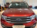 Ford Everest Ambient MT 2019 - Bán Ford Everest Ambient MT 2019 - Xe sẵn giao ngay - đủ màu