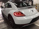 Volkswagen Beetle 2017 - Bán Volkswagen Beetle model 2018 - Khuyến mãi lớn - Hot