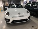 Volkswagen Beetle 2017 - Bán Volkswagen Beetle model 2018 - Khuyến mãi lớn - Hot