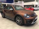 Volkswagen Beetle Dune 2018 - Bán xe Volkswagen Beetle Dune đời 2018, màu nâu, nhập khẩu nguyên chiếc