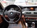 BMW 5 Series   528i   2015 - Bán BMW 528i sản xuất 2015, model 2016, đăng ký 12/2015