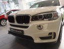 BMW X5 xDrive35i 2019 - Bán BMW X5 xDrive35i sản xuất năm 2019, màu trắng, nhập khẩu  