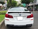 BMW 5 Series 528i 2010 - Bán BMW 5 Series 528i đời 2010, màu trắng, nhập khẩu nguyên chiếc, 980tr