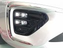 Kia Sedona Platinum D 2019 - Bán xe Kia Sedona Platinum D sản xuất 2019, màu bạc