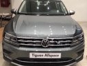 Volkswagen Tiguan Allspace 2018 - Bán Volkswagen Tiguan Allspace 2018, màu xám, nhập khẩu