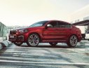 BMW X4 x20i 2019 - Bán ô tô BMW X4 x20i đời 2019, màu đỏ, nhập khẩu nguyên chiếc
