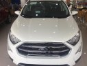 Ford EcoSport 1.0L AT Titanium 2019 - Bán xe Ford Ecosport 1.0L AT Titanium 2019