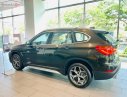 BMW X1 sDrive18i 2018 - Cần bán xe BMW X1 sDrive18i sản xuất năm 2018, màu nâu, xe nhập