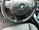 BMW 5 Series 528i 2010 - Bán BMW 528i năm sản xuất 2010, nhập khẩu