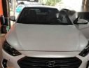 Hyundai Elantra   2017 - Bán Hyundai Elantra năm 2017, màu trắng, xe gia đình