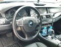 BMW 5 Series 528i 2010 - Bán BMW 528i năm sản xuất 2010, nhập khẩu