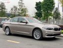 BMW 5 Series 530i Luxury Line 2019 - Cần bán xe BMW 5 Series 530i Luxury Line đời 2019, xe nhập
