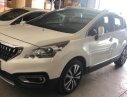 Peugeot 3008 1.6 AT FL 2018 - Xe Peugeot 3008 1.6 AT FL sản xuất 2018, màu trắng chính chủ 
