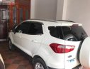 Ford EcoSport AT 2015 - Bán xe Ford EcoSport AT sản xuất 2015, màu trắng