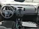 Kia Forte EX 2011 - Bán Kia Forte EX năm 2011, màu xám, giá 338tr