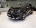 Lexus NX   300 2019 - Bán xe Lexus NX 300 sản xuất 2019, màu đen, nhập khẩu