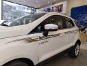 Ford EcoSport 2019 - Cực sốc! Xả kho Ford EcoSport 2019, màu trắng, chỉ từ 505tr tặng ngay bảo hiểm thân vỏ