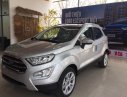 Ford EcoSport 2019 - Ford Ecosport giá giảm mạnh và khuyến mãi nhiều, giao xe ngay