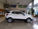 Ford EcoSport 2019 - Cực sốc! Xả kho Ford EcoSport 2019, màu trắng, chỉ từ 505tr tặng ngay bảo hiểm thân vỏ