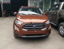 Ford EcoSport Titanium 1.0 EcoBoost 2019 - Bán xe Ford EcoSport Titanium 1.0 EcoBoost đời 2019, màu nâu, 639tr