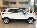 Ford EcoSport 2019 - Chỉ với 225 tr nhận ngay Ford EcoSport 2019