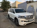 Toyota Land Cruiser VX S 4.6L 2016 - Toyota Land Cruiser VX S đời 2016 màu trắng fom mới, nhập khẩu