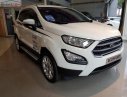 Ford EcoSport Trend 1.5L AT 2019 - Bán ô tô Ford EcoSport Trend 1.5L AT đời 2019, màu trắng, xe hiện có sẵn - Đủ màu