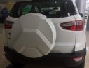 Ford EcoSport    2018 - Cần bán Ford EcoSport sản xuất 2018, màu trắng